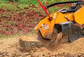 Runge, TX Tree Services Company