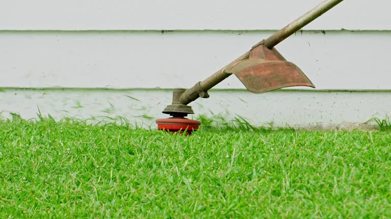 Runge, TX Tree Services Company